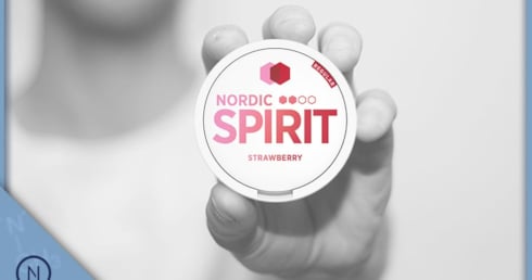 Was ist Nordic Spirit?