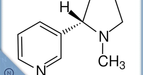 Nikotin Strukturformel