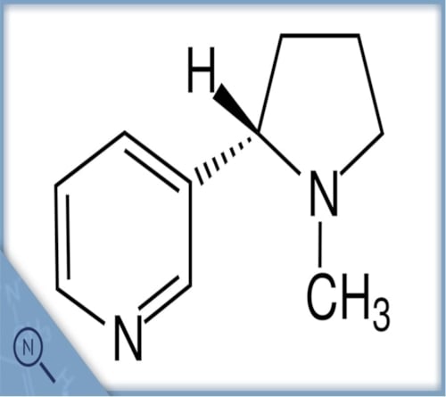 Nikotin Strukturformel