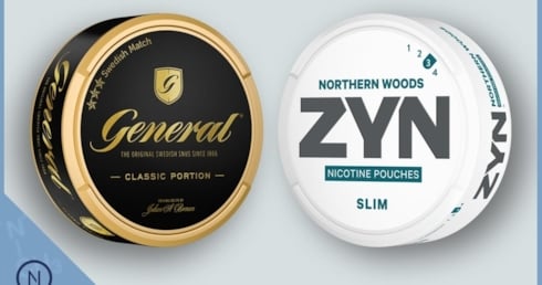 Was ist der Unterschied zwischen Snus und Nikotin Pouches