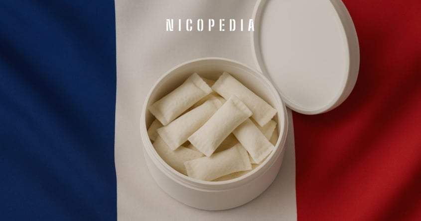 Frankreich verbietet Nikotinbeutel