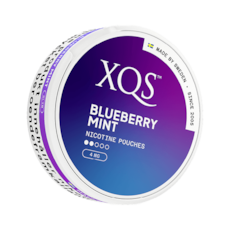 XQS Blueberry Mint Slim Normal