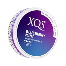 XQS Blueberry Mint Slim Stark Nicotine Pouches