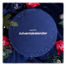 Adventskalender 2025