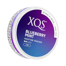 XQS Blueberry Mint Slim Normal