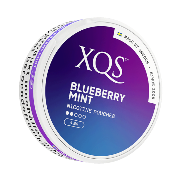 XQS Blueberry Mint Slim Normal