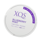 XQS Blueberry Mint Nikotinfrei