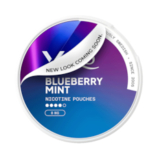 XQS Blueberry Mint Slim Stark Nicotine Pouches