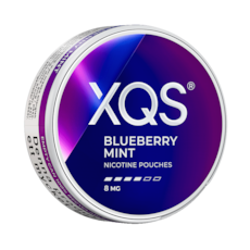 XQS Blueberry Mint Strong