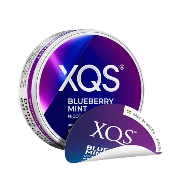 XQS Blueberry Mint Slim Normal