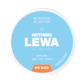 LEWA Nothing Nordic Mint Nikotinfrei