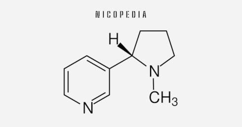 Die chemische Dartstellung von Nikotin als Titelbild zur Frage Was ist Nikotinsucht und dem Leitfaden zur Nikotinsuchtkurve. 