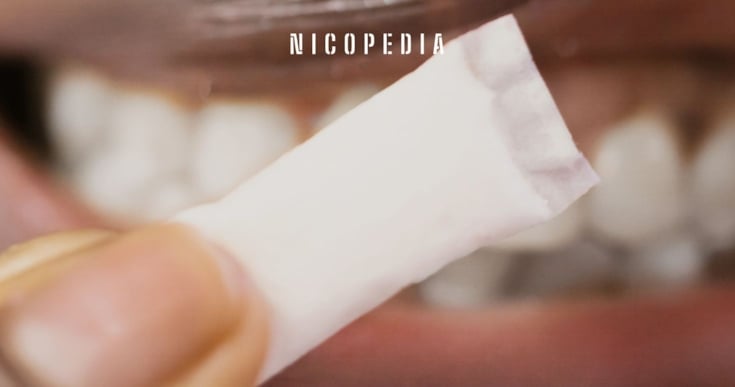 Nikotin im Körper? Wie lange Nikotin im Körper bleibt - Haypp DE