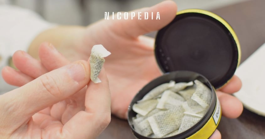 Schwedischer Snus