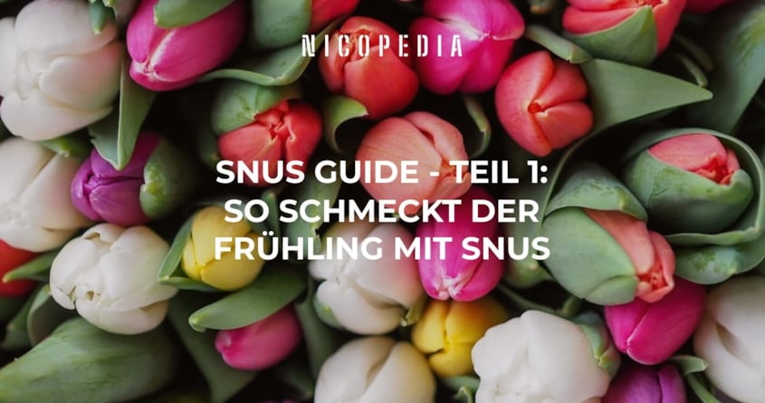 So schmeckt der Frühling mit Snus