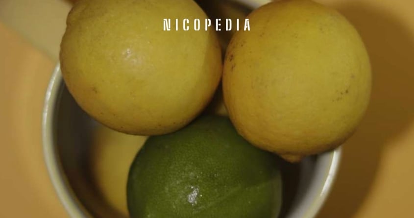 Eine Schale mit Zitrusfrüchten, die das Thema Aroma und Geschmack symbolisiert. 