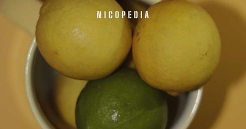 Eine Schale mit Zitrusfrüchten, die das Thema Aroma und Geschmack symbolisiert. 