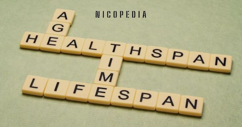 Buchstabenspiel um das Thema Wohlfahrtsgewinn durch Nikotinbeutel zu illustrieren