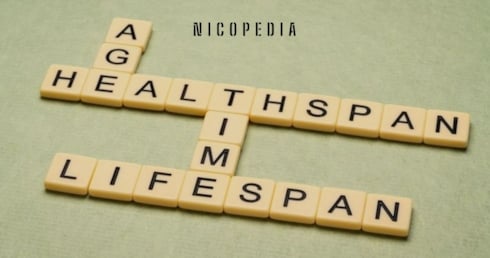 Buchstabenspiel um das Thema Wohlfahrtsgewinn durch Nikotinbeutel zu illustrieren