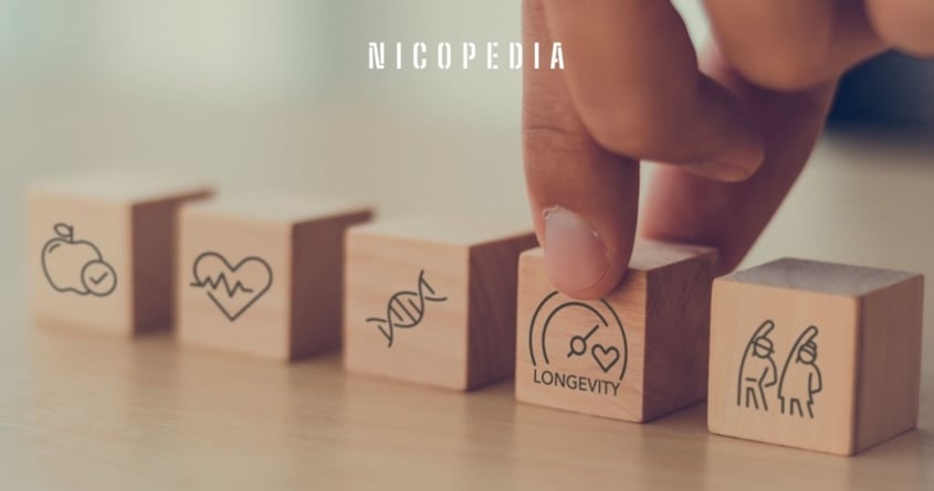 Holzbloecke um das Thema Gesundheitsgewinne zu illustrieren