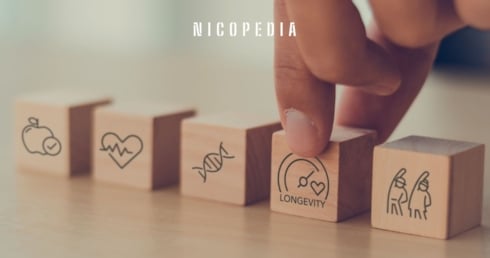 Holzbloecke um das Thema Gesundheitsgewinne zu illustrieren