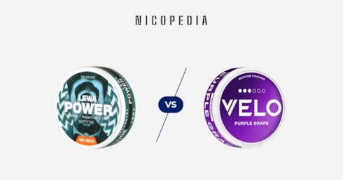 Eine Dose Koffeinbeutel und eine Dise Nikotinbeutel stehen sich gegenüber mit einem "vs" dazwichen.