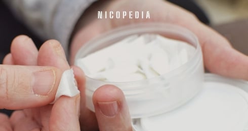 Nikotinbeutel um das Thema rechtliche Einordnung von Nikotinbeuteln darzustellen