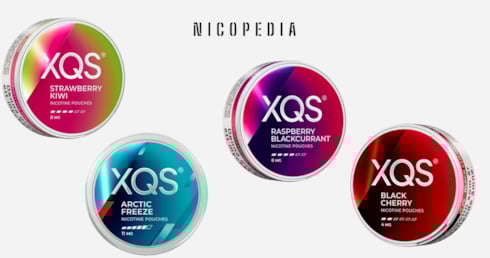 Vier Dosen XQS Nikotinbeutel