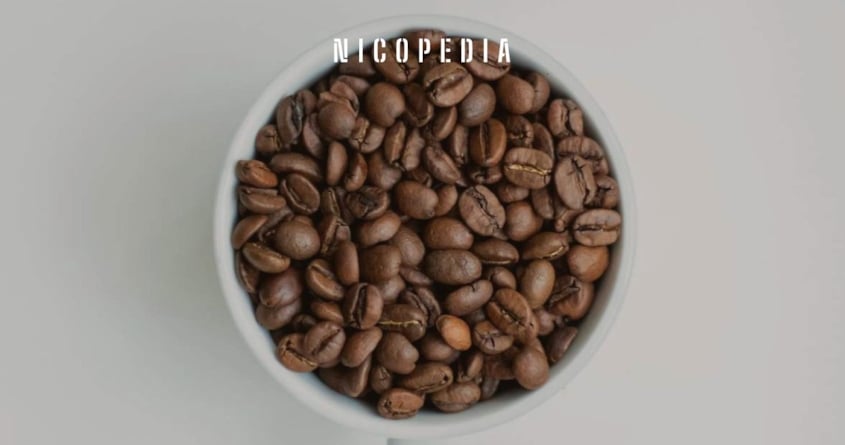 Ab welchem Alter ist Koffein Snus legal Banner