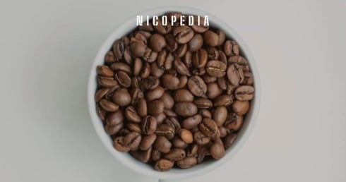 Ab welchem Alter ist Koffein Snus legal Banner