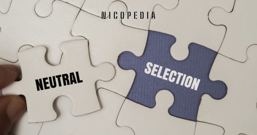 Puzzle-Teile um das Thema neutrale Umfragen darzustellen