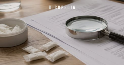 Eine Lupe auf einer ausgedruckten Studie und Nikotinbeutel. 