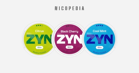Zyn Nicotine Pouches