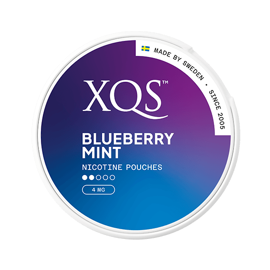 XQS Blueberry Mint Slim Normal