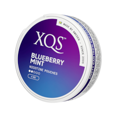 XQS Blueberry Mint Slim Normal