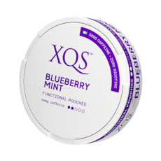 XQS Blueberry Mint Nikotinfrei