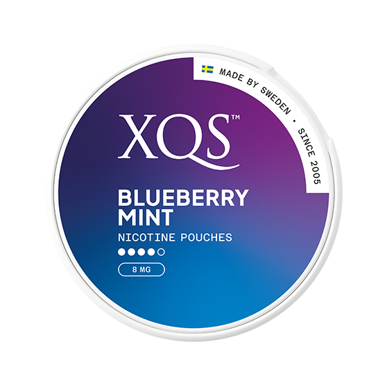 XQS Blueberry Mint Slim Stark Nicotine Pouches