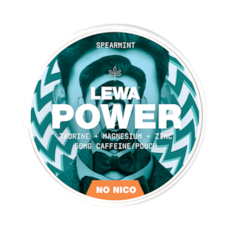 LEWA Spearmint Nikotinfrei