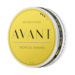 Avant Tropical Banana