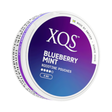 XQS Blueberry Mint Slim Stark Nicotine Pouches