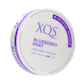 XQS Blueberry Mint Nikotinfrei