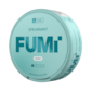 FUMi Spearmint Mini Regular