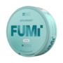 FUMi Spearmint Mini Regular