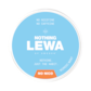 LEWA Nothing Nordic Mint Nikotinfrei