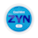 ZYN Cool Mint 9mg