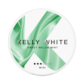 Kelly White Sweet Melon Mint Mini 6mg