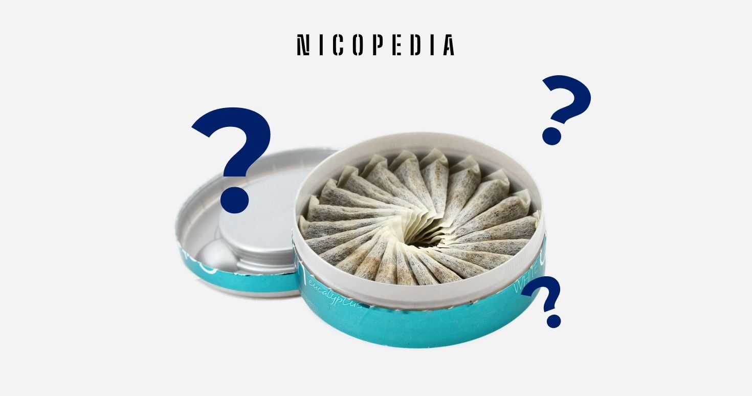 vape in uk What is Snus? Snus Meaning Explained (UK Guide)