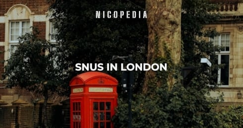 Snus in London