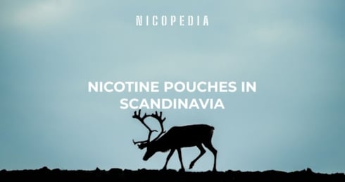 Nicotine pouches in Scandinavia