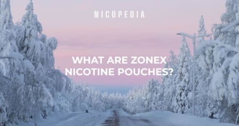 What are ZoneX nicotine pouches?